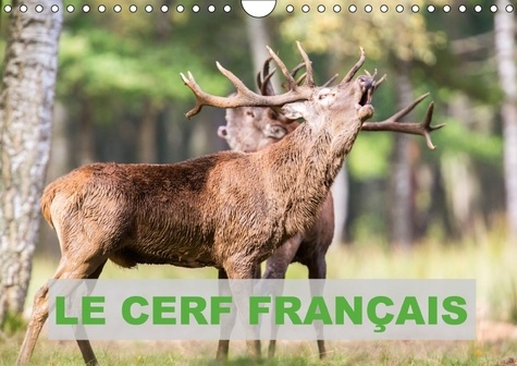 LE CERF FRANCAIS CALENDRIER MURAL 2018 DIN A4 HORIZONTAL - PHOTOS DE CERFS EN FRANCE CALE