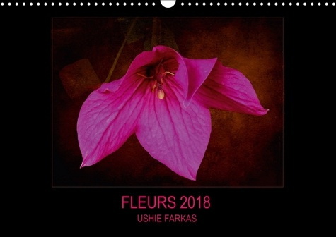 FLEURS 2018 FR VERSION CALENDRIER MURAL 2018 DIN A3 HORIZONT - FLEURS AVEC TEXTURE CALENDRIER