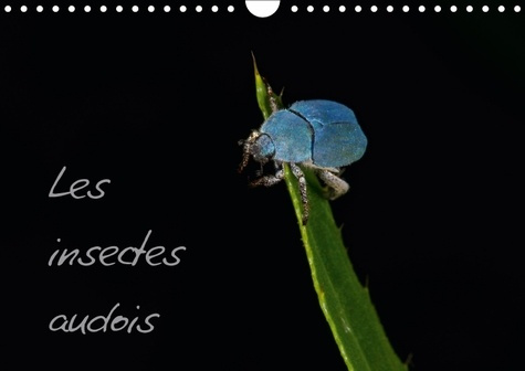 LES INSECTES AUDOIS CALENDRIER MURAL 2018 DIN A4 HORIZONTAL - PHOTOGRAPHIES D INSECTES DU DE