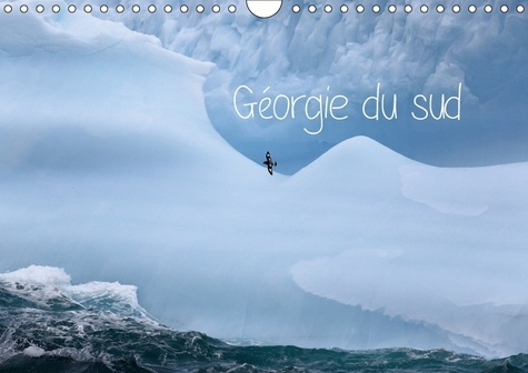 GEORGIE DU SUD CALENDRIER MURAL 2018 DIN A4 HORIZONTAL - VIE SAUVAGE SUR UNE LE LOINTAI