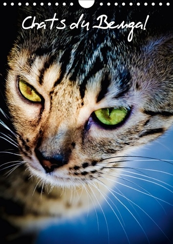 CHATS DU BENGAL CALENDRIER MURAL 2018 DIN A4 VERTICAL - CHATONS DU BENGAL ET LEUR MAMA