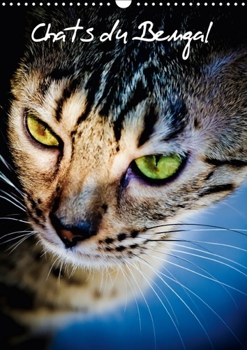 CHATS DU BENGAL CALENDRIER MURAL 2018 DIN A3 VERTICAL - CHATONS DU BENGAL ET LEUR MAMA