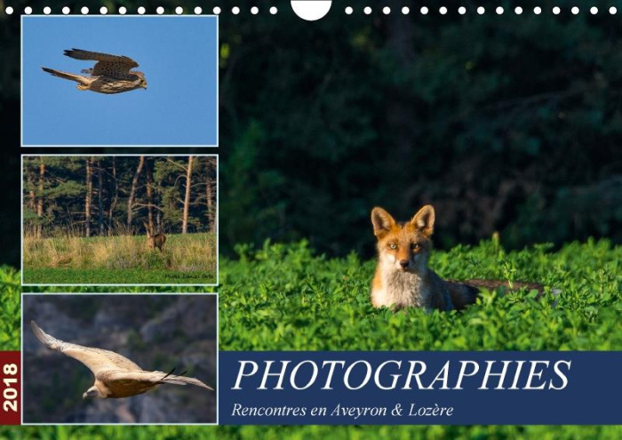 PHOTOGRAPHIES RENCONTRES EN AVEYRON LOZERE CALENDRIER MURAL - PHOTOS ANIMALIERES AU DETOUR D