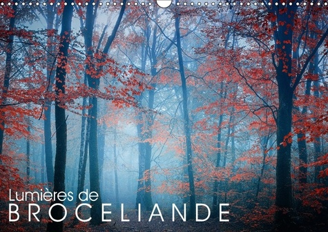 LUMIERES DE BROCELIANDE CALENDRIER MURAL 2018 DIN A3 HORIZON - IMAGES DE LA FORET DE BROCELIA