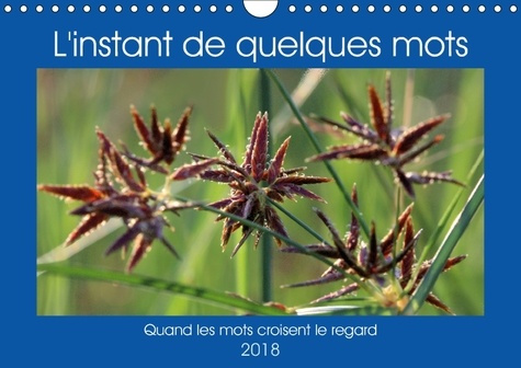 L INSTANT DE QUELQUES MOTS CALENDRIER MURAL 2018 DIN A4 HORI - QUAND LES MOTS CROISENT LE REG