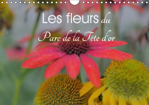 FLEURS POUR UNE ANNEE EN COULE