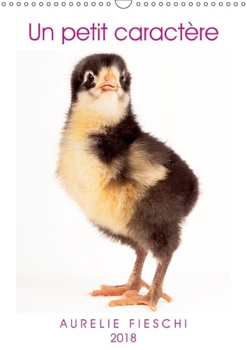 UN PETIT CARACTERE CALENDRIER MURAL 2018 DIN A3 VERTICAL - SI JEUNES ET DEJA SI EXPRESSIF