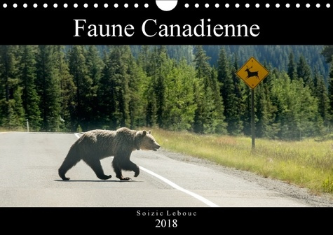 FAUNE CANADIENNE CALENDRIER MURAL 2018 DIN A4 HORIZONTAL - A LA RENCONTRE DE LA FAUNE OUE