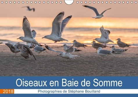 OISEAUX EN BAIE DE SOMME (CALENDRIER MURAL 2018 DIN A4 HORIZONTAL) - LES OISEAUX DE LA BAIE DE SOMME