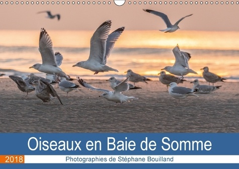 OISEAUX EN BAIE DE SOMME (CALENDRIER MURAL 2018 DIN A3 HORIZONTAL) - LES OISEAUX DE LA BAIE DE SOMME