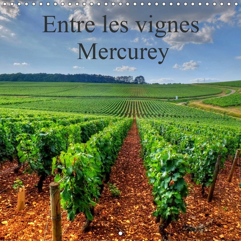 ENTRE LES VIGNES MERCUREY (CALENDRIER MURAL 2019 300 * 300 MM SQUARE) - VIGNOBLE DE MERCUREY EN PLEI