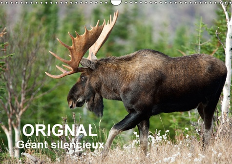 ORIGNAL. GEANT SILENCIEUX (CALENDRIER MURAL 2019 DIN A3 HORIZONTAL) - L'ORIGNAL DU CANADA AU FIL DES