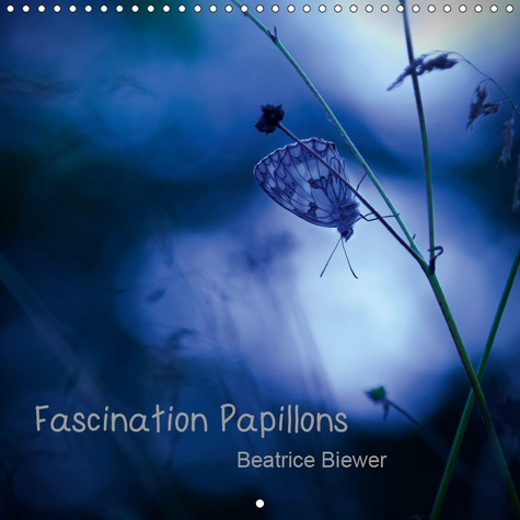 FASCINATION PAPILLONS (CALENDRIER MURAL 2019 300 * 300 MM SQUARE) - LE MONDE FASCINANT DES PAPILLONS