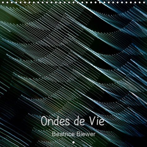 ONDES DE VIE (CALENDRIER MURAL 2019 300 * 300 MM SQUARE) - VIBRATIONS OU ONDES DE VIE, UN JEU SUBTIL