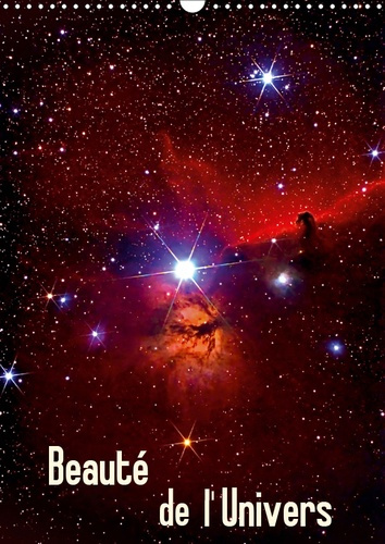 BEAUTE DE L'UNIVERS (CALENDRIER MURAL 2019 DIN A3 VERTICAL) - PHOTOS DU SOLEIL, D'ETOILES ET DE NEBU