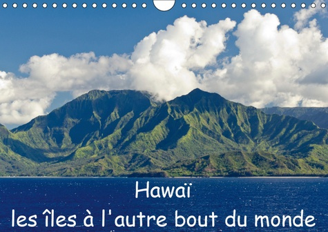 HAWAI LES ILES A L'AUTRE BOUT DU MONDE (CALENDRIER MURAL 2019 DIN A4 HORIZONTAL) - MES IMPRESSIONS D