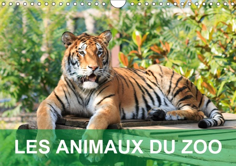 LES ANIMAUX DU ZOO (CALENDRIER MURAL 2019 DIN A4 HORIZONTAL) - CALENDRIER AVEC DES PHOTOS TENDRES ET