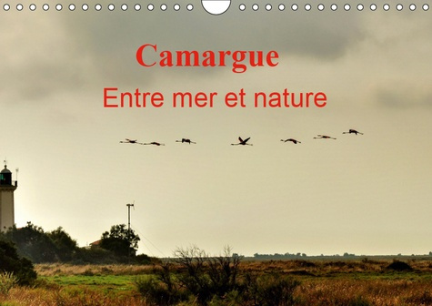 CAMARGUE ENTRE MER ET NATURE (CALENDRIER MURAL 2019 DIN A4 HORIZONTAL) - AU COEUR DE LA CAMARGUE, EN
