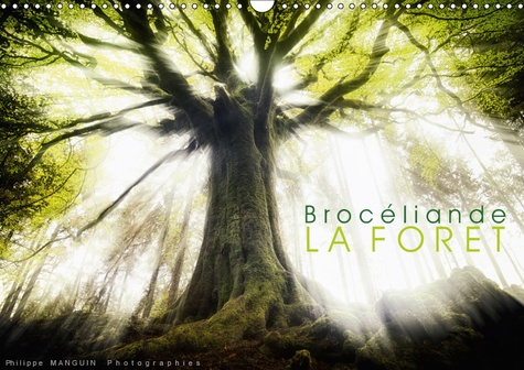 BROCELIANDE, LA FORET (CALENDRIER MURAL 2019 DIN A3 HORIZONTAL) - PHOTOGRAPHIES DE LA FORET DE BROCE
