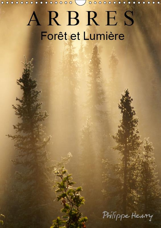 ARBRES. FORET ET LUMIERE (CALENDRIER MURAL 2019 DIN A3 VERTICAL) - DES ARBRES DANS TOUTE LEUR BEAUTE