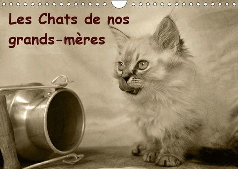 LES CHATS DE NOS GRANDS-MERES (CALENDRIER MURAL 2019 DIN A4 HORIZONTAL) - MERVEILLEUSES PHOTOS QUI R