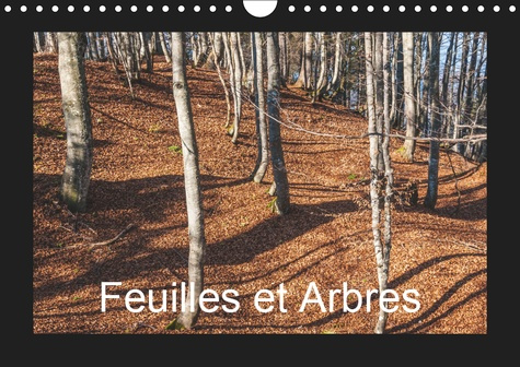 FEUILLES ET ARBRES (CALENDRIER MURAL 2019 DIN A4 HORIZONTAL) - CAPTIVE PAR LES SAISONS (CALENDRIER M