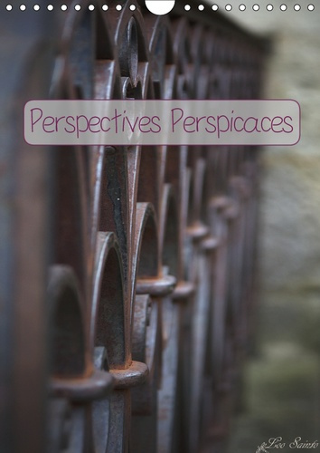 PERSPECTIVES PERSPICACES (CALENDRIER MURAL 2019 DIN A4 VERTICAL) - QUAND L'IMAGE ATTIRE MALGRE NOUS
