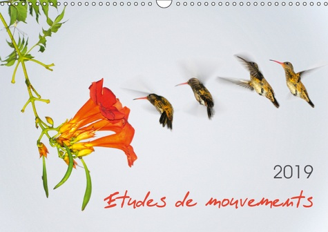 ETUDES DE MOUVEMENTS (CALENDRIER MURAL 2019 DIN A3 HORIZONTAL) - ETUDES DE MOUVEMENTS: SERIE DE DOUZ