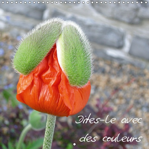 DITES-LE AVEC DES COULEURS (CALENDRIER MURAL 2019 300 * 300 MM SQUARE) - LES FLEURS, UN BAUME POUR L