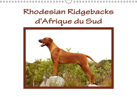RHODESIAN RIDGEBACKS D'AFRIQUE DU SUD (CALENDRIER MURAL 2019 DIN A3 HORIZONTAL) - RHODESIAN RIDGEBAC