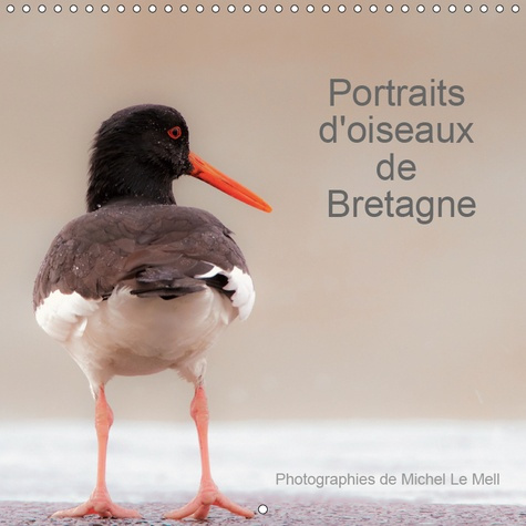 PORTRAITS D'OISEAUX DE BRETAGNE (CALENDRIER MURAL 2019 300 * 300 MM SQUARE) - 12 PHOTOGRAPHIES DE PR