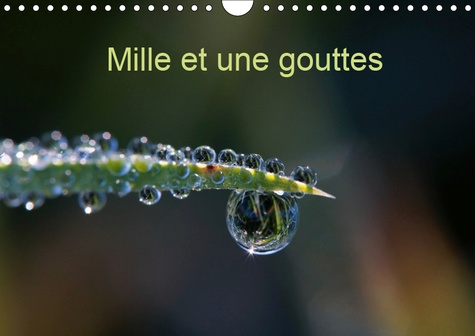 MILLE ET UNE GOUTTES (CALENDRIER MURAL 2019 DIN A4 HORIZONTAL) - PHOTOS DE GOUTTES D'EAU (CALENDRIER