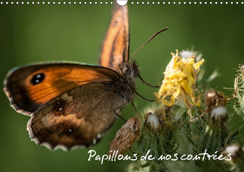 PAPILLONS DE NOS CONTREES (CALENDRIER MURAL 2019 DIN A3 HORIZONTAL) - PALETTE DE PEINTURES DE LA NAT