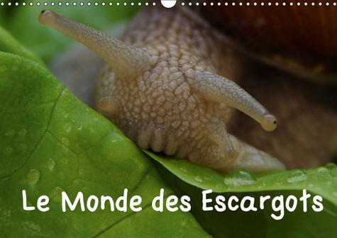 LE MONDE DES ESCARGOTS (CALENDRIER MURAL 2019 DIN A3 HORIZONTAL) - ESCARGOTS DANS NOTRE PAYSAGE (CAL