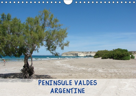 PENINSULE VALDES - ARGENTINE (CALENDRIER MURAL 2019 DIN A4 HORIZONTAL) - PENINSULE VALDES, RESERVE N