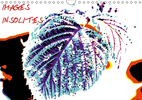 IMAGES INSOLITES (CALENDRIER MURAL 2019 DIN A4 HORIZONTAL) - VOYAGE DANS UNE NATURE AUX COULEURS IMA