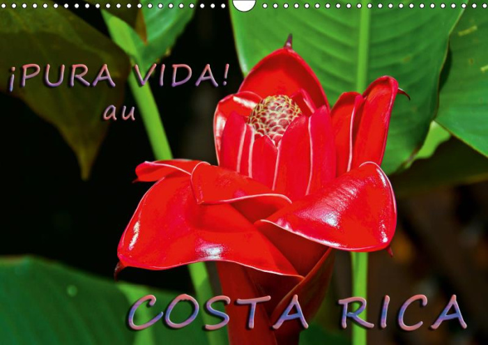PURA VIDA!  AU COSTA RICA (CALENDRIER MURAL 2019 DIN A3 HORIZONTAL) - COSTA RICA - UN PAYS MERVEILL