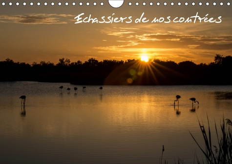 ECHASSIERS DE NOS CONTREES (CALENDRIER MURAL 2019 DIN A4 HORIZONTAL) - DES OISEAUX EN PLEINE NATURE.