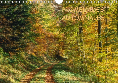 PROMENADES AUTOMNALES (CALENDRIER MURAL 2019 DIN A4 HORIZONTAL) - UNE SAISON A NULLE AUTRE PAREILLE,