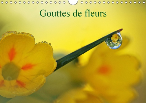 GOUTTES DE FLEURS (CALENDRIER MURAL 2019 DIN A4 HORIZONTAL) - PHOTOS MACRO DE GOUTTES DE FLEURS (CAL