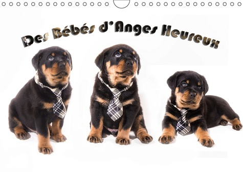 DES BEBES D'ANGES HEUREUX (CALENDRIER MURAL 2019 DIN A4 HORIZONTAL) - LE ROTTWEILER, RACE CANINE DE