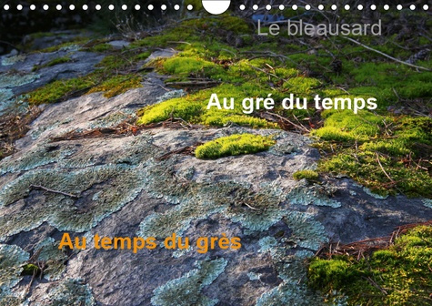 LE BLEAUSARD (CALENDRIER MURAL 2019 DIN A4 HORIZONTAL) - LE CALENDRIER DES FANS D'ESCALADE A FONTAIN