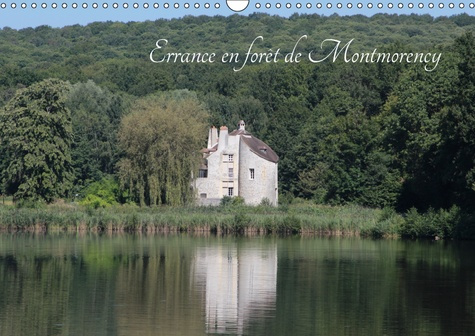 BALADE EN FORET DE MONTMORENCY (CALENDRIER MURAL 2019 DIN A3 HORIZONTAL) - AU COEUR DU VAL D'OISE, U