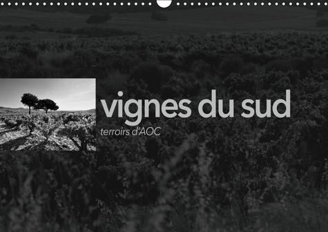 VIGNES DU SUD TERROIRS D'AOC (CALENDRIER MURAL 2019 DIN A3 HORIZONTAL) - PAYSAGES DES TERROIRS VITIC