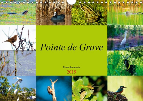 POINTE DE GRAVE - FAUNE DES MARAIS (CALENDRIER MURAL 2019 DIN A4 HORIZONTAL) - UN PETIT APERCU DE LA