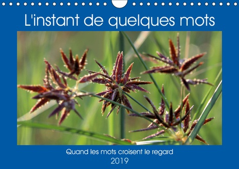 L'INSTANT DE QUELQUES MOTS (CALENDRIER MURAL 2019 DIN A4 HORIZONTAL) - QUAND LES MOTS CROISENT LE RE