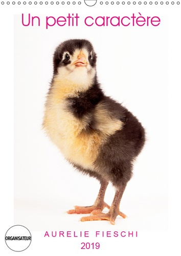 UN PETIT CARACTERE (CALENDRIER MURAL 2019 DIN A3 VERTICAL) - SI JEUNES ET DEJA SI EXPRESSIFS ! (CALE