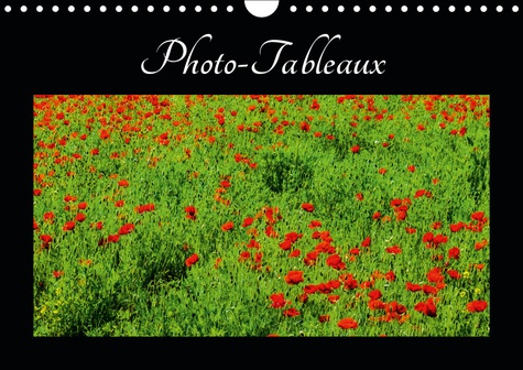 PHOTO-TABLEAUX (CALENDRIER MURAL 2019 DIN A4 HORIZONTAL) - PHOTOS OU TABLEAUX? (CALENDRIER MENSUEL,