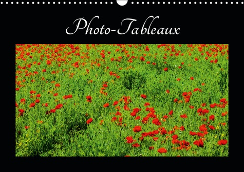 PHOTO-TABLEAUX (CALENDRIER MURAL 2019 DIN A3 HORIZONTAL) - PHOTOS OU TABLEAUX? (CALENDRIER MENSUEL,