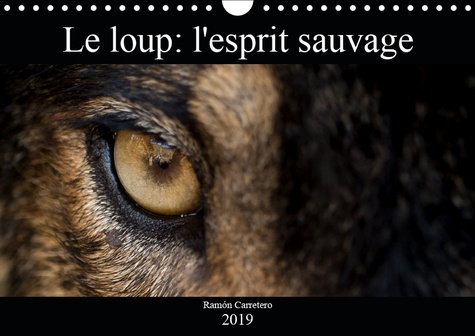 LE LOUP: L'ESPRIT SAUVAGE (CALENDRIER MURAL 2019 DIN A4 HORIZONTAL) - DES IMAGES INCROYABLES DE LOUP